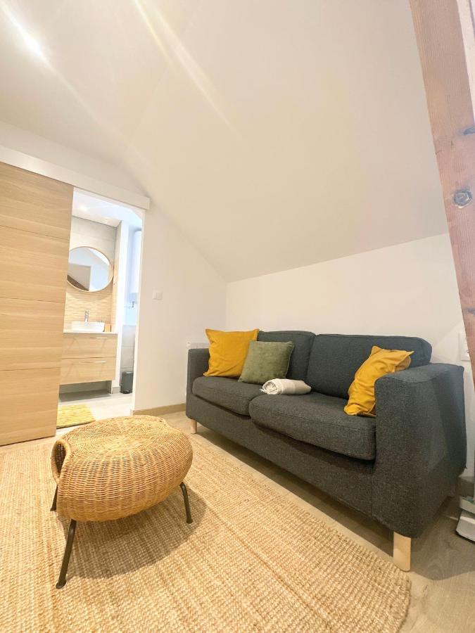 Sacre Appartement/Jardin/Parking/Wifi Rodez Exterior foto