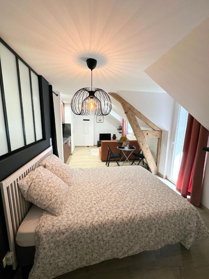 Sacre Appartement/Jardin/Parking/Wifi Rodez Exterior foto