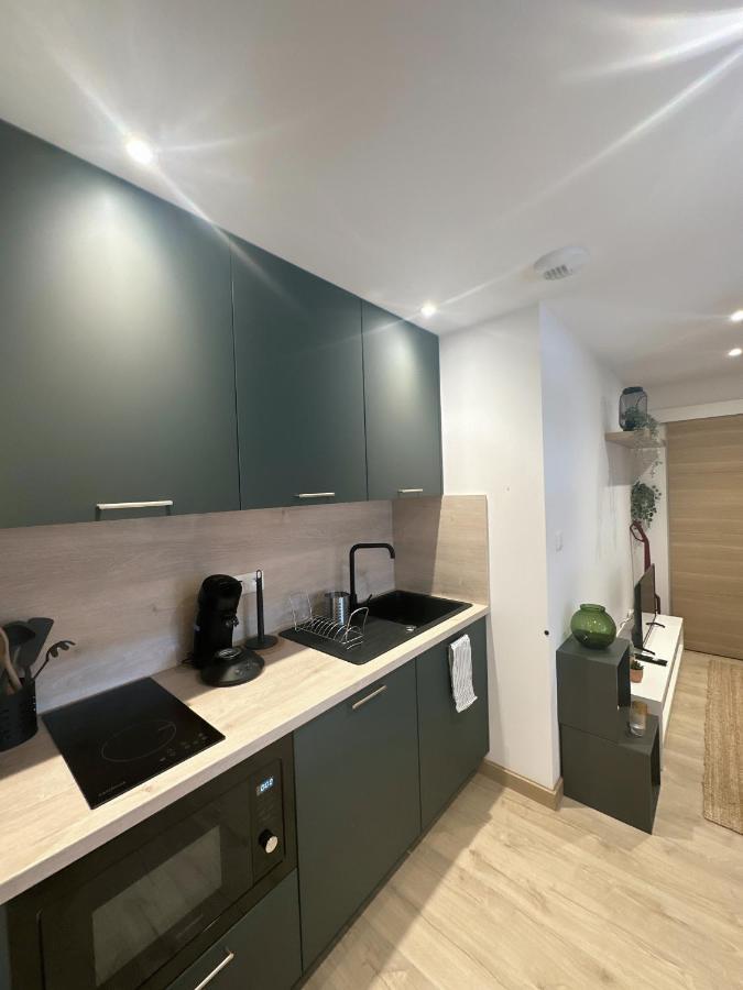 Sacre Appartement/Jardin/Parking/Wifi Rodez Exterior foto